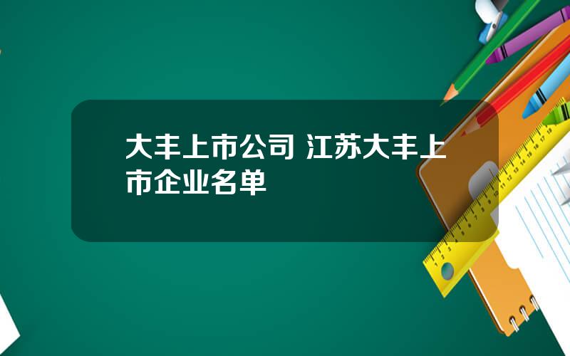 大丰上市公司 江苏大丰上市企业名单